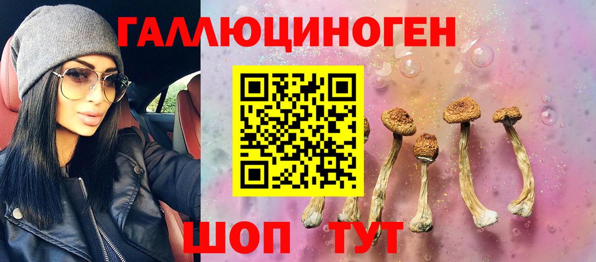 Псилоцибиновые грибы Cubensis  Галлюциногенные грибы Psilocybine cubensis  Вход с VPN  Новошахтинск 